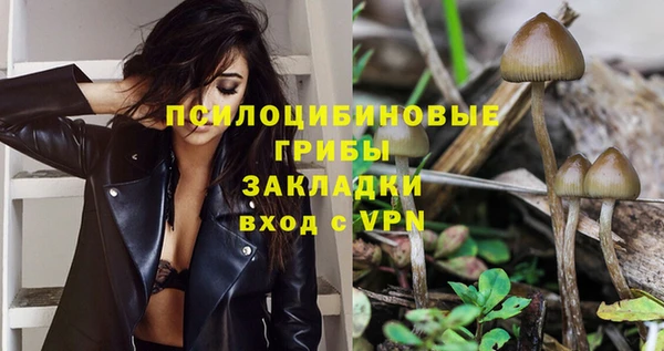 spice Алексеевка