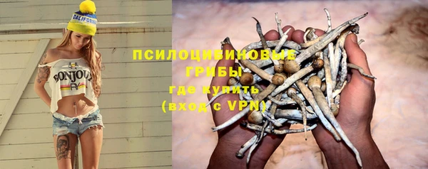 spice Алексеевка