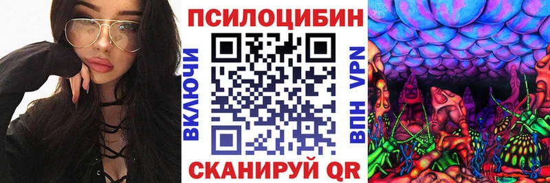 закладка  OMG онион  Галлюциногенные грибы Psilocybine cubensis  Чебоксары 