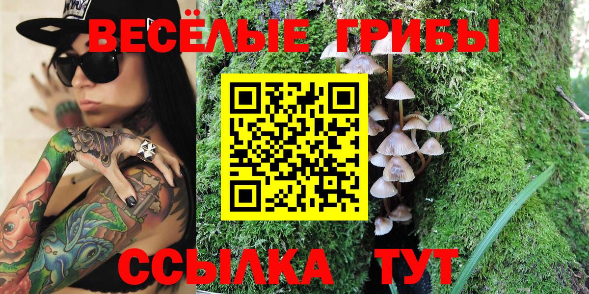 Галлюциногенные грибы прущие грибы  Вход с VPN  Чебоксары 