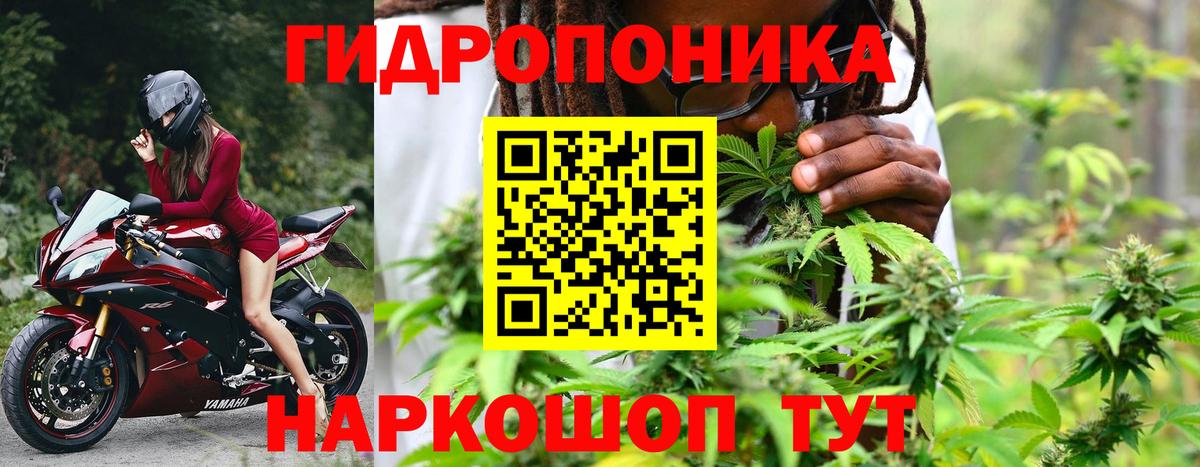 Каннабис Ganja Чебоксары